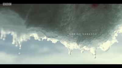 # We took a walk to the summit at
night, you and I - Cardinal
