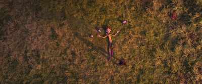 We took down the drones,
beat the bad guy, - Spies in Disguise