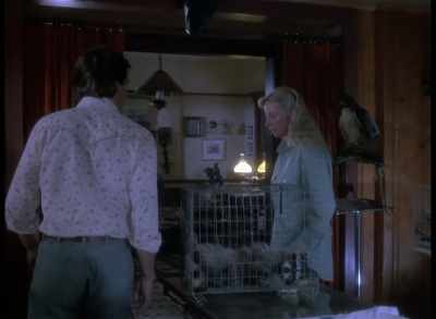 We treat each and every glitch
as if it were a DDOS. - Quantum Leap
