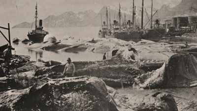 We tried to straighten 
ourselves up a bit  - Shackleton: The Greatest Story of Survival
