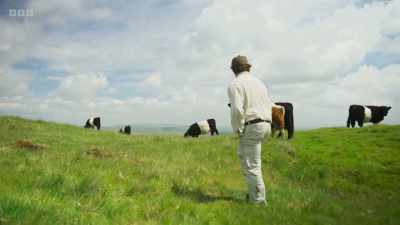 We try and manage the Belties
as naturally as we possibly can. - Wild Isles