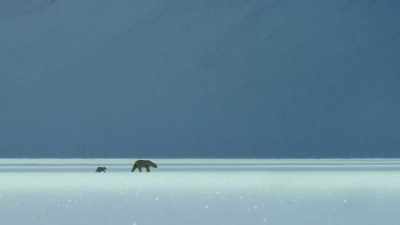 We, unintentionally,
are changing these frozen worlds, - Our Planet