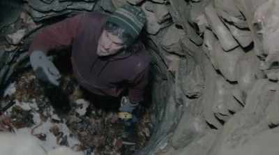 We use the quarry that's only - Alien Worlds: Giants and Hybrids