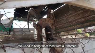 We used to bring them food from our homes. - Killing Gaza