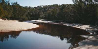 We used to swim there
from daylight till dark. - Revealed: How to Poison a Planet