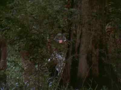 We walked for days
through the swamps. - The Autobiography of Miss Jane Pittman