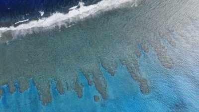 We wanna be
better informed about where - Protecting Paradise: The Story of Niue