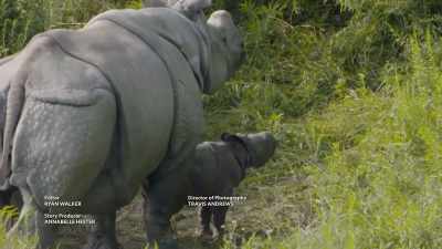 We wanna give them their space - Secrets of the Zoo