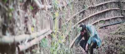 We want to cut down this jungle - Bhediya