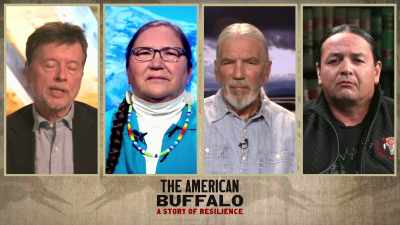 We-we have to sort of take a
step back and understand that - The American Buffalo