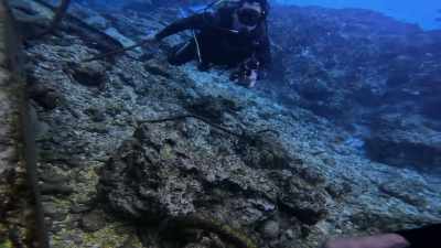 We were
able to spot where the propeller - Protecting Paradise: The Story of Niue