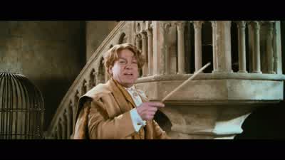 We were having so much fun playing with the Mandrakes themselves... - Harry Potter and the Chamber of Secrets