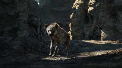 We weren't
expecting guests today. - The Lion King