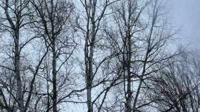 We had white out conditions. - Life Below Zero: Next Generation