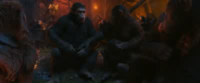 We will find a way out of here. - War for the Planet of the Apes
