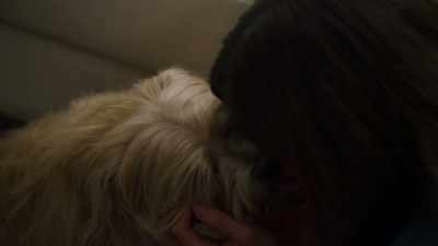 We will find your
home in no time. - The More Love Grows