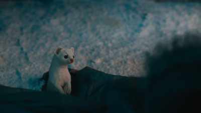We will make sure
your death is not in vain. - His Dark Materials
