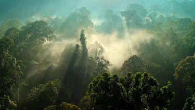 We will reveal what must be preserved - Our Planet