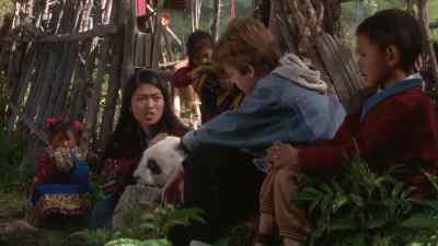 WE WILL SLEEP
HERE TONIGHT. - The Amazing Panda Adventure