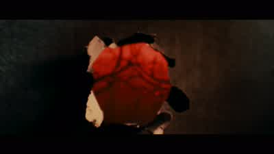We will stand tall At Skyfall - Skyfall