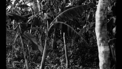 We will use it to build schools,
roads in Iyi. - Mami Wata