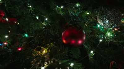 ["WE WISH YOU A MERRY
CHRISTMAS" PLAYING] - Zoey's Extraordinary Christmas