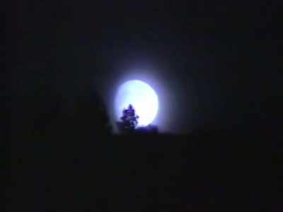 We worked day and night, in three shifts, - Wild Wild Country