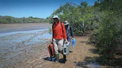 We worked with a team of scientists - Attenborough's Life in Colour