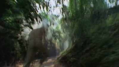 We would chase
and we would grab - Duran Duran: There's Something You Should Know