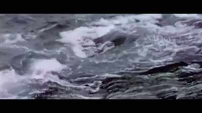 We would collect mussels
and different shellfish, - Black Life: Untold Stories