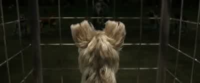 We would have dropped dead in a week or less without that nourishment. - Isle of Dogs