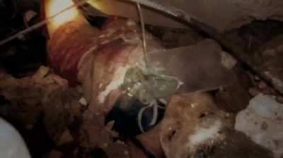 We would try to extract daina
and she was still caught. - Oklahoma City