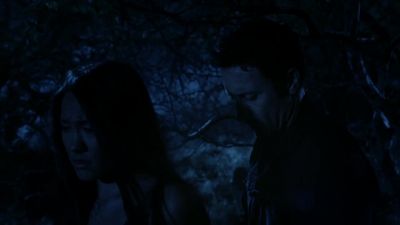 We would've caught them, Emily. - Hawaii Five-O