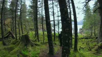 We'd like to find out,
but right now, - The Alaska Triangle