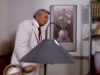 We'd like to move for
full physical custody - Matlock