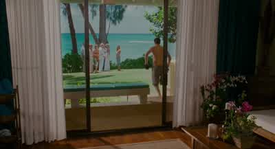 Wedding in Hawaii Real original - Forgetting Sarah Marshall