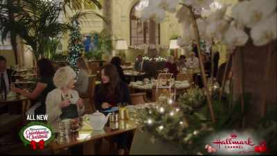 Wedding, party,
celebrity guests. - Christmas at the Plaza