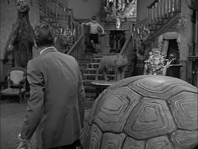 Wednesday! - The Addams Family