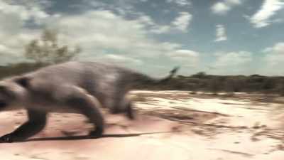 Weighing as much as 160 kilograms, - Modern Dinosaurs