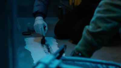 Weird. The Mikrosil cast - CSI: Vegas