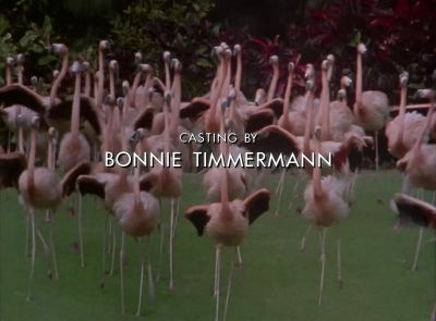 Welcome back
to fun central, boys. - Miami Vice