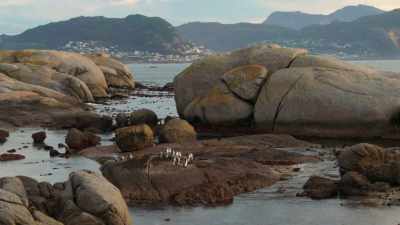 Welcome to Burghers' Walk. - Penguin Town