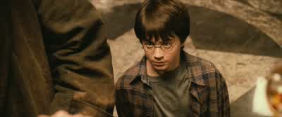 Welcome, Harry, to Diagon Alley. - Harry Potter and the Philosopher's Stone