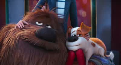 Welcome home, Duke. - The Secret Life of Pets