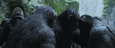 Welcome home, Rocket. - War for the Planet of the Apes