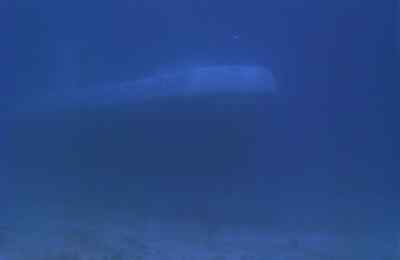 Welcome to our Atlantis submarine tour. - Weekend at Bernie's II