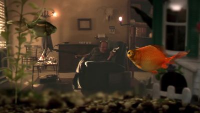 Welcome to our world Bob - He Was a Quiet Man