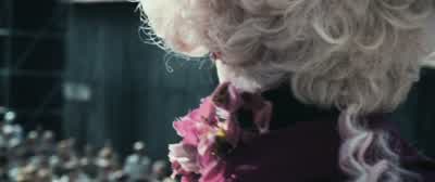 Welcome Welcome welcomeHappy Hunger GamesAnd may the odds be ever in your favorNow before we begin we have a very special filmBrought to you all the way from The Capitol - The Hunger Games