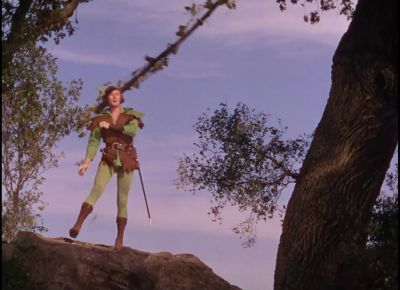 Welcome to Sherwood - The Adventures of Robin Hood