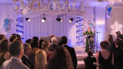 Welcome to the
35th Annual Snow Ball. - Grounded for Christmas